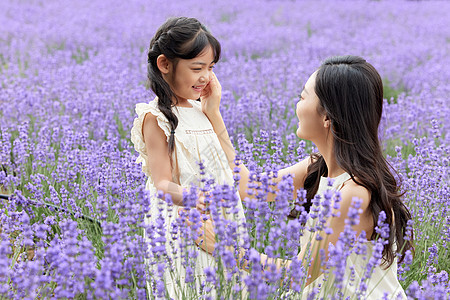 薰衣草花田中亲密的母女图片