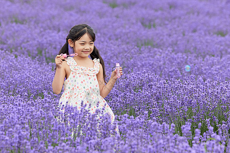 小女孩在薰衣草花田里吹泡泡背景图片