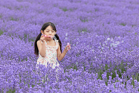旅行中的小女孩小女孩在薰衣草花丛中吹泡泡背景