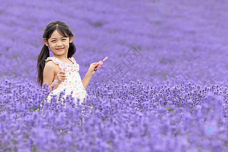 小女孩在薰衣草花田里吹泡泡图片