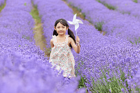 小女孩在薰衣草花田拿着风车奔跑背景图片