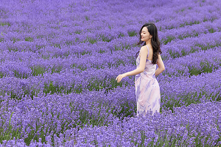 夏季美女站在薰衣草花田中的美丽女性背景