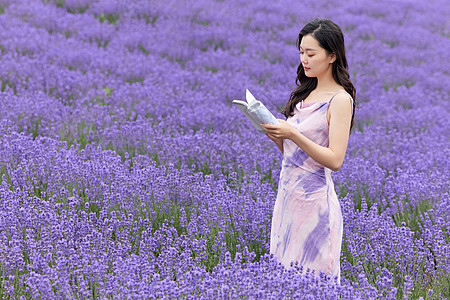 女性在薰衣草花田看书高清图片