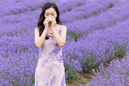 女性鼻炎过敏在薰衣草花丛不适图片