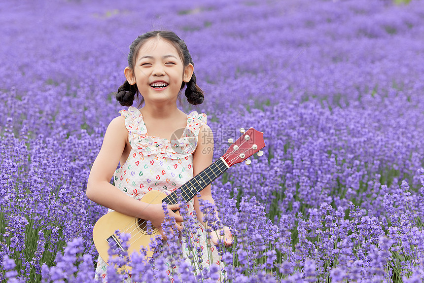 小女孩站在薰衣草花海里弹奏尤克里里图片