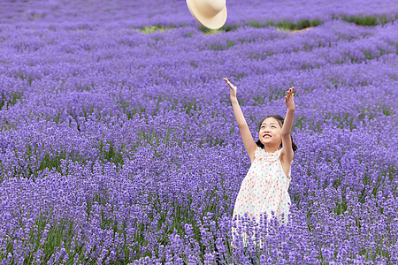 小女孩在薰衣草花丛中丢帽子图片