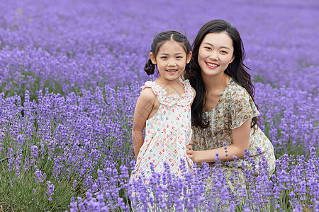 薰衣草花田里的母女高清图片