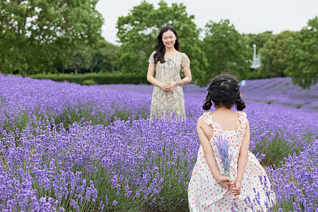 送母亲花的女孩女儿给母亲送一束薰衣草背景