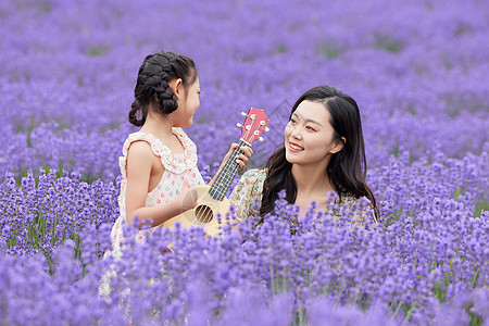 女儿在薰衣草花海给母亲弹奏尤克里里背景图片