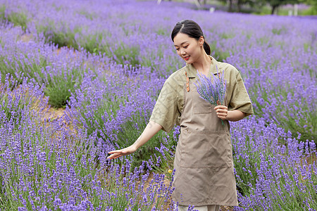 女性园丁手拿一束薰衣草图片