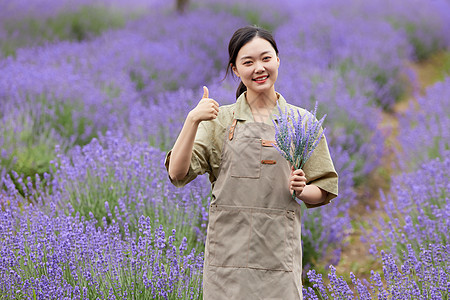 清爽科技女性园丁手拿薰衣草点赞背景