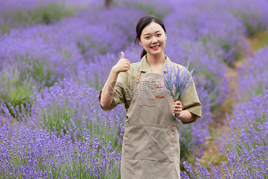 女性园丁手拿薰衣草点赞图片