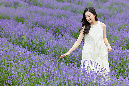 在薰衣草花田散步的女性图片