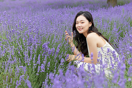 紫色美女在薰衣草花田观赏的女性背景