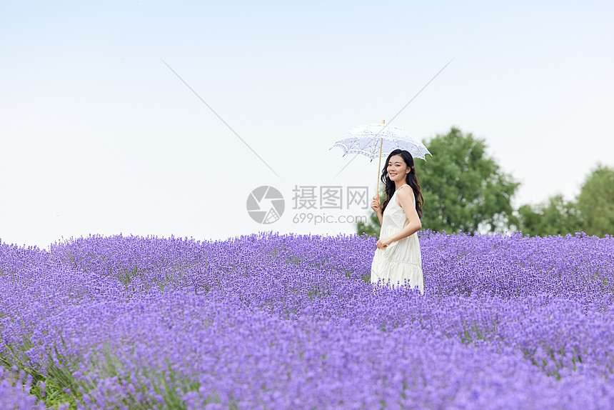 撑着阳伞走在薰衣草花田的女性图片