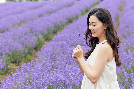 夏日风景夏日女性手拿薰衣草背景