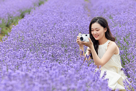 女性使用相机拍摄薰衣草高清图片