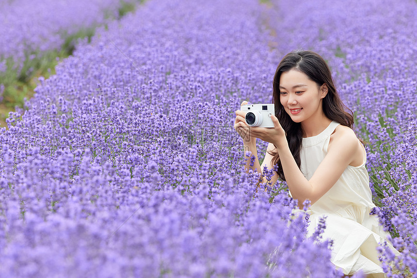 女性使用相机拍摄薰衣草图片