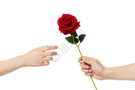递一束玫瑰花给另一个人图片