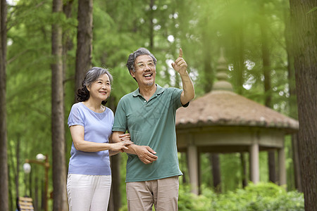 老人散步老年夫妇公园散步背景