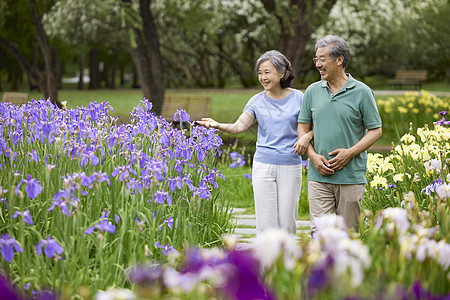 老年夫妇公园赏花散步高清图片