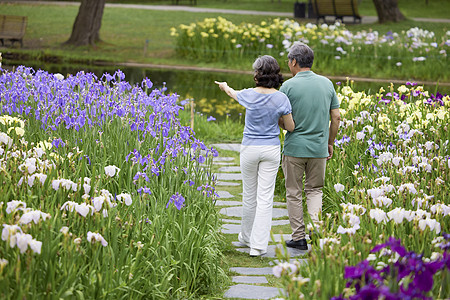 老年夫妇公园赏花散步背影高清图片