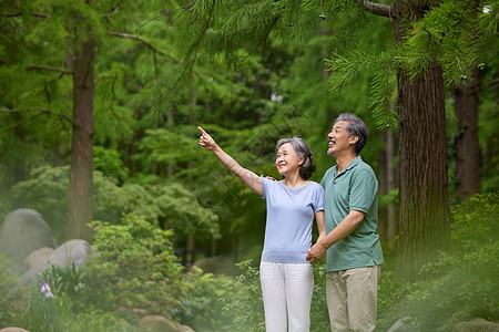 老夫妻在公园说说笑笑图片