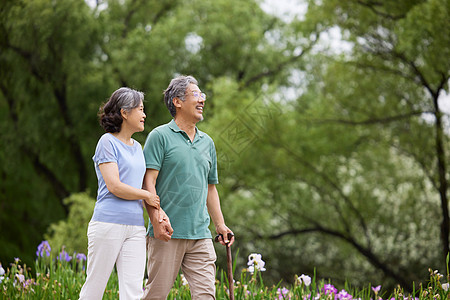 老年人参观森林公园图片