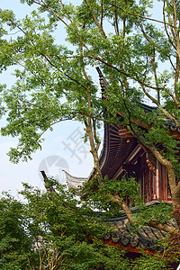 夏日风景中式园林建筑风光背景