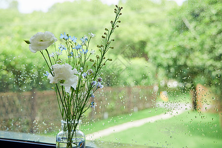 清新树叶花朵雨后的窗边花朵背景