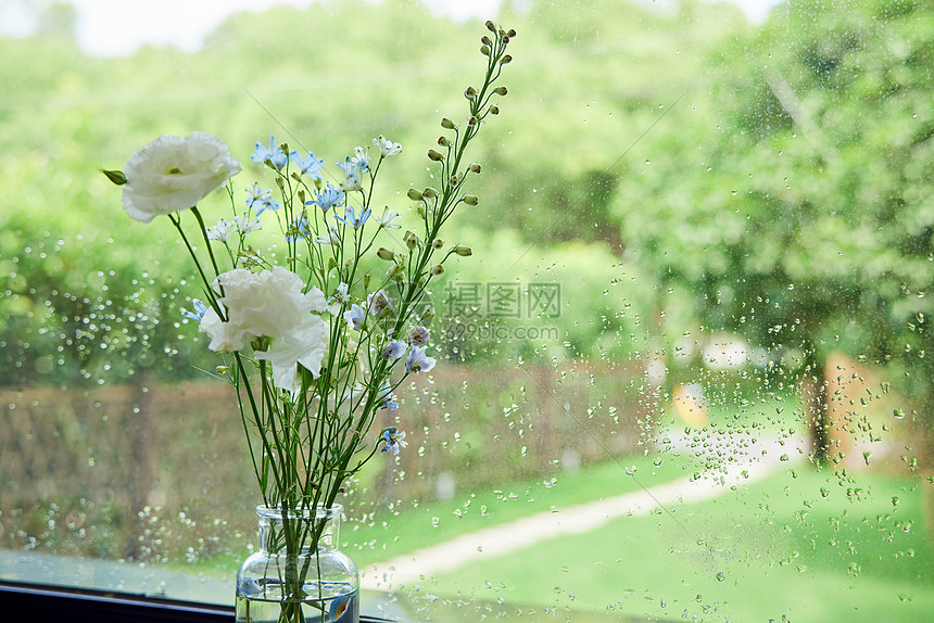 雨后的窗边花朵图片