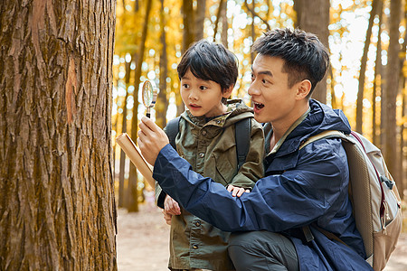背包旅行用放大镜观察树皮的父子形象背景