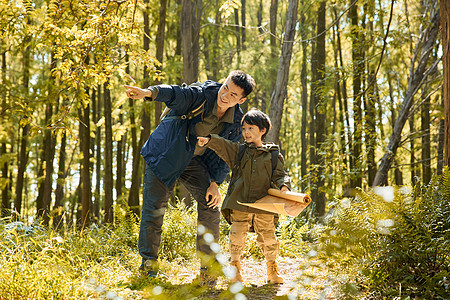 秋天登山父子俩在森林中寻找路线背景