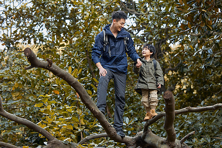 带着孩子的父亲带着儿子爬树探险的父亲背景