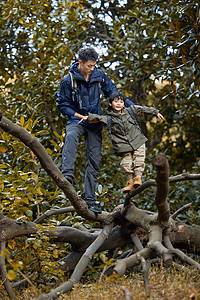 户外探险爬树的父子俩图片