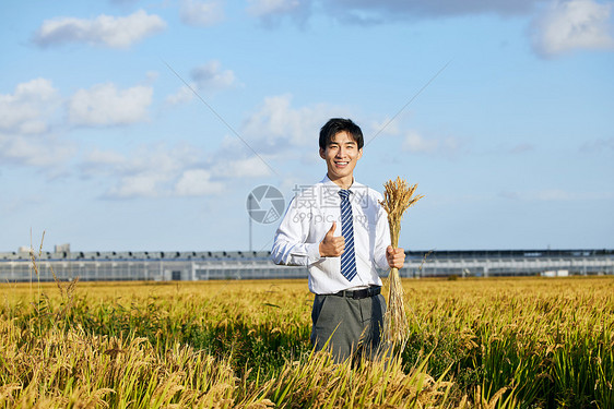 手持麦穗的农业科研人员点赞形象图片