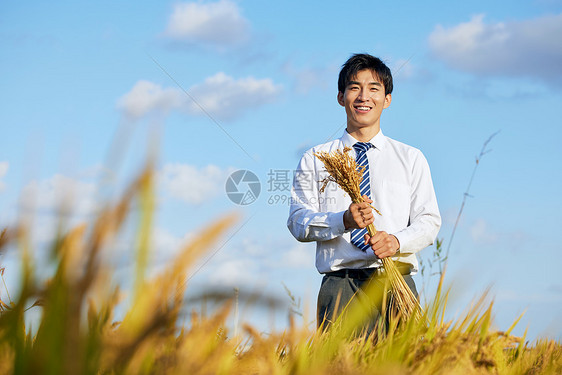 手持麦穗对着镜头微笑的科研人员形象图片