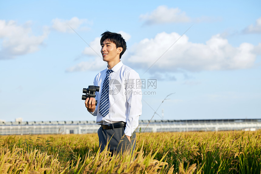 农业科研人员瞭望稻田图片