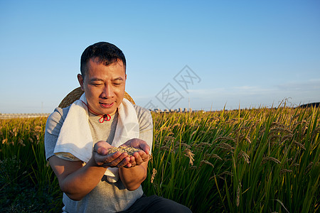 农民手捧麦粒图片