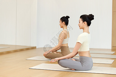 进行瑜伽教学的师生背景图片