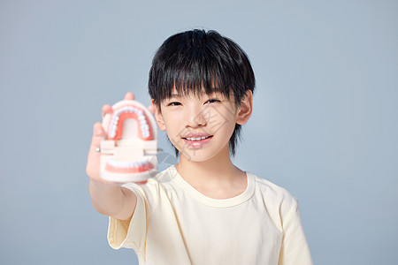 手拿牙齿模型的小男孩图片
