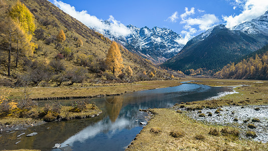 秋季川西高原虹桥沟河流与雪山风光图片