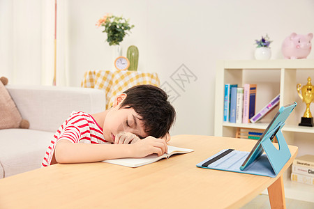 客厅里趴在平板电脑前睡着的小男孩图片