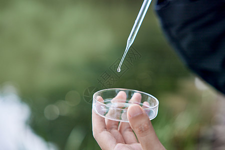 使用培养皿检测水质图片