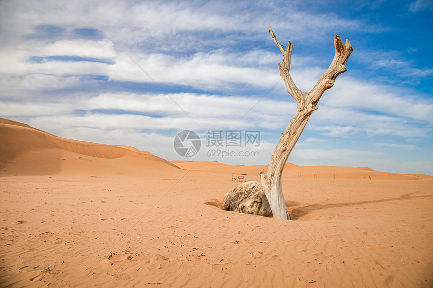 秋意意境唯美宁夏腾格里沙漠图片