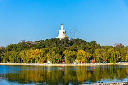 北京公园初冬的北京北海白塔公园背景