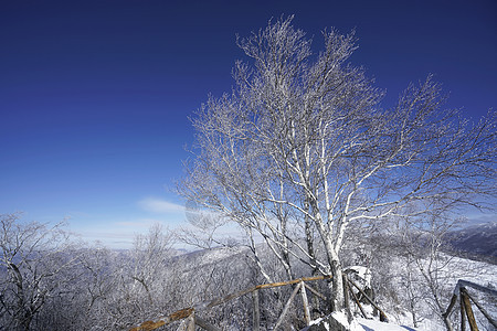 东北雪谷风景区图片