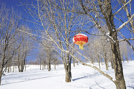 东北雪谷风景区图片