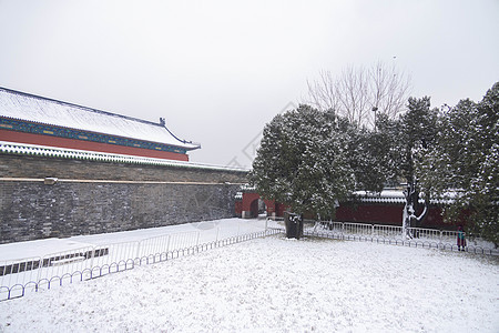 冬季雪中的美景背景图片