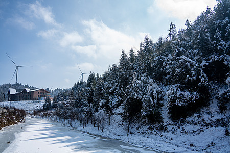 冬天落雪的树林图片